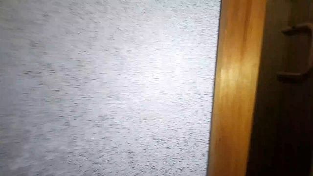 50873019