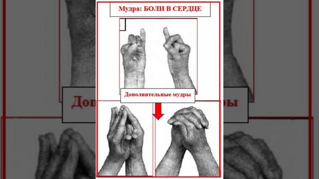 Мудра: Инфаркт миокарда, спасение жизни! Mudra for the heart. #stress #стресс