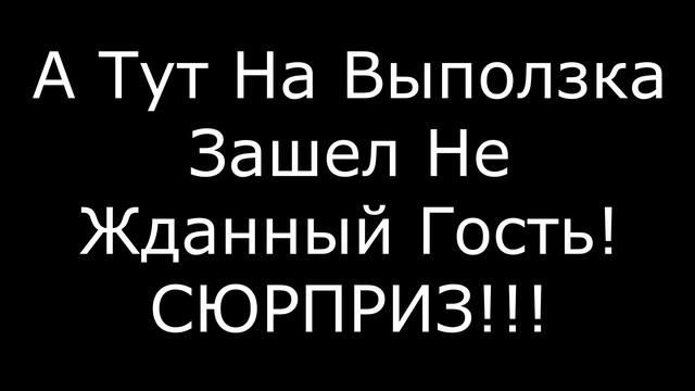 Русская Рыбалка 4!РР4. Трофейный Окунь! Оз. Комариное!russian fishing 4