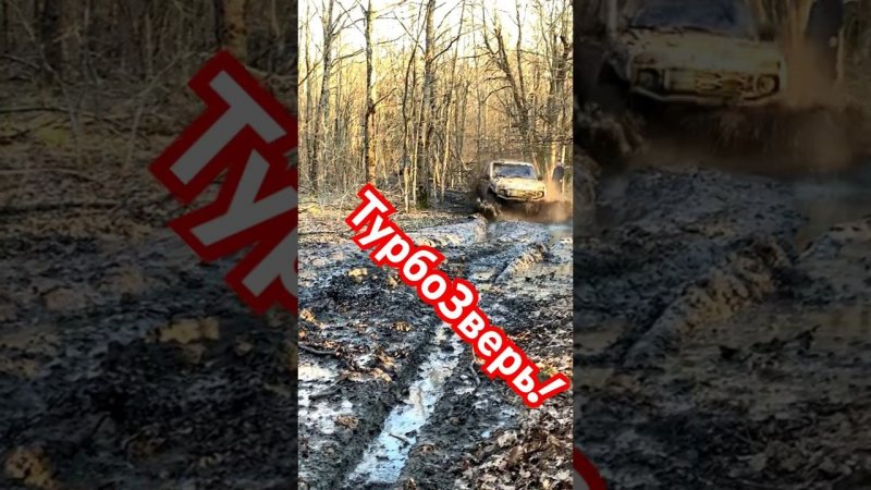 ТурбоЗверь в своей стихии! #skrdoffroad #4х4 #нива #offroad #турбонива