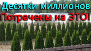 Такого я не ожидал. Полтора года спустя приехал в гости и попал в сказку и музей!