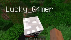 ПРОФЕССИОНАЛ ПОПАЛ В ДЕРЕВНЮ ЧИТЕРОВ В МАЙНКРАФТ ! ПРО И ЧИТЕР НАШЛИ ДРЕВНИЙ ХРАМ В MINECRAFT