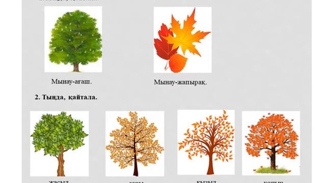 жапырақ смотреть онлайн