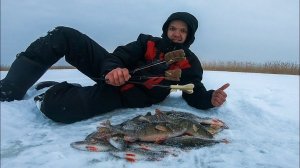 НЕ ЗРЯ ПОШЕЛ В БЕРЕГ! ЛОВЛЯ ОКУНЯ НА БЛЕСНУ ЗИМОЙ. ЗИМНЯЯ БЛЕСНА НА ЛАДОЖСКОМ ОЗЕРЕ