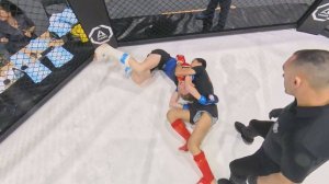 КУБОК ПКГО ПО ММА