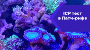 ICP тест в Патч-рифе