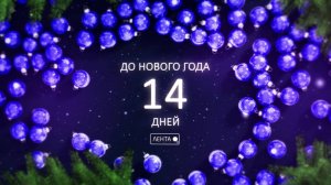 До Нового года осталось 14 дней!