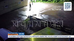 В 19.00 в программе "Кстати":Уголовник полгода пытается совершить убийство, но его ловят и отпускают