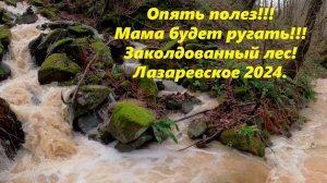 Мама будет ругать!  Опять понес!  Лазаревское, заколдованный лес!  Декабрь 2024.