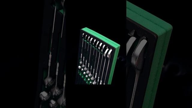 Набор ключей комбинированных, 6-24 мм, 18 предметов, ложемент EVA, 646073 GARWIN PRO