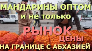 Новогодние мандарины/Абхазские мандарины/Мандарины новости/Абхазия и Россия /Абхазия  новости