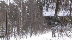Ловля певчих птиц В ПОИСКАХ ПЕВЧЕЙ ПТИЦЫ
