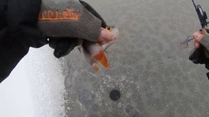 ПЕРВЫЙ ЛЁД 2024-2025!!! Ловля окуня на балансир и безмотылку.