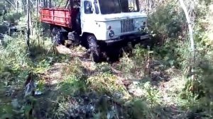 Газ 66 двигаемся по тайге