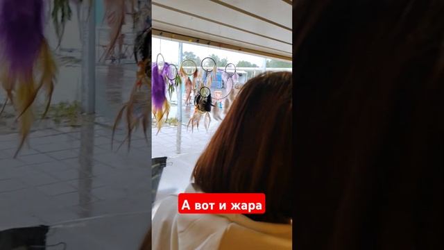 ждун #ждун #рекомендации #юмор #shorts смотреть онлайн