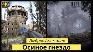 STALKER 2: Heart of Chornobyl прохождения Осиное гнездо