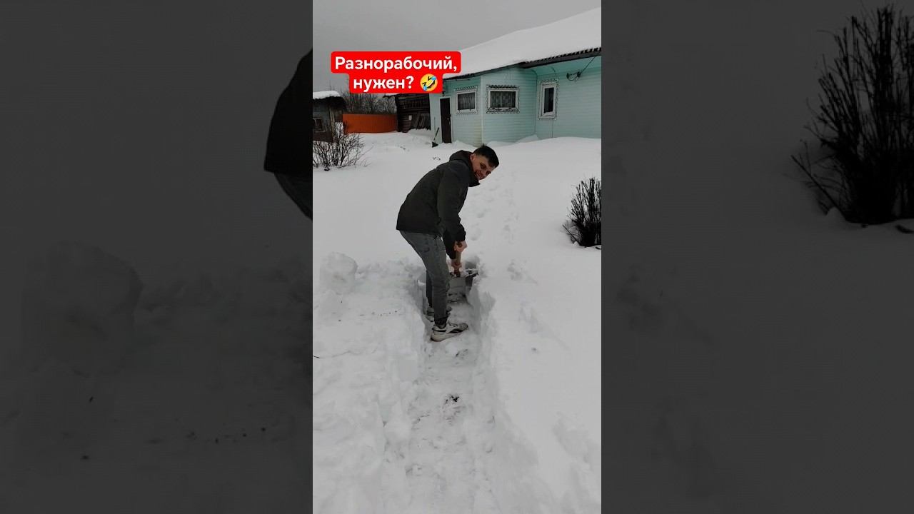 #shorts #рекомендации #юмор #рек смотреть онлайн