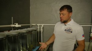 Обзор инкубатора для осетровых