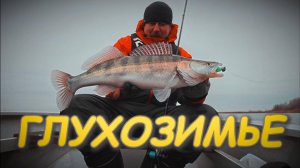 Три поклевки за 5 минут!