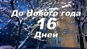 До Нового года 16 дней