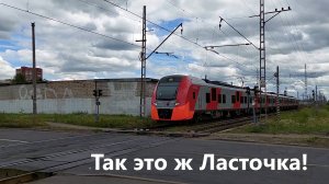 Летящая Ласточка в Петербурге