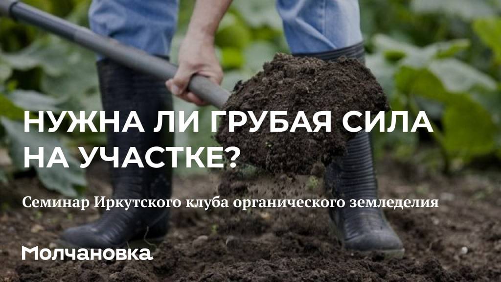 2 сезон 2 семинар. Нужна ли грубая сила на участке?