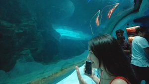 САМЫЙ БОЛЬШОЙ АКВАРИУМ В МИРЕ в парке Sea World Abu Dhabi | Где найти бесплатный обед