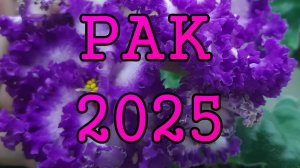 РАК таро прогноз на 2025 год по 12 домам гороскопа.