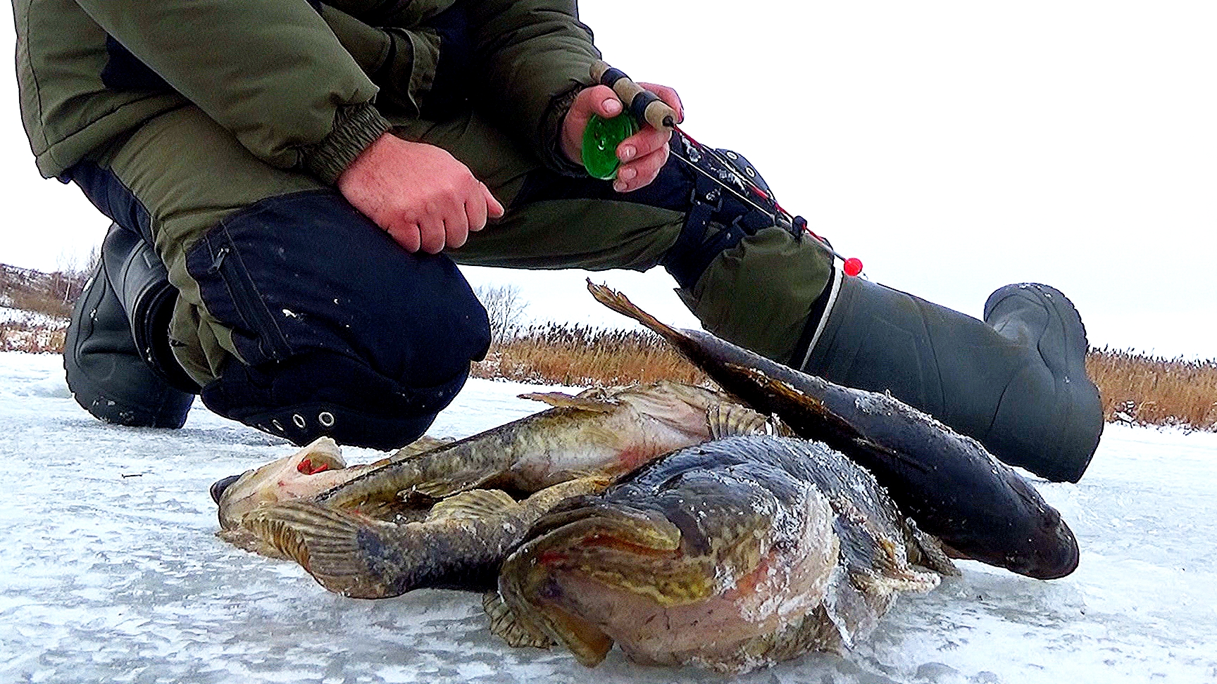 ПЕРВЫЙ ЛËД 2024! ЧТО ЗА ТВАРИ НА ЭТОМ ОЗЕРЕ смотреть онлайн