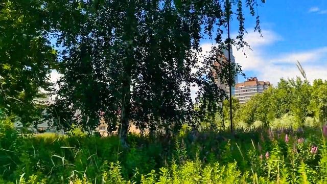 Всем прекрасного воскресного дня пошли гулять в парк к воде 30.06.25 жарко