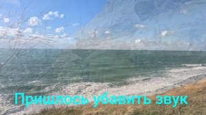 InShot_20241216_164259901.mp4