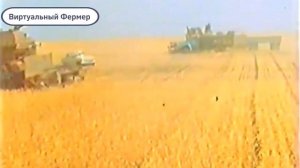 УБОРОЧНАЯ СТРАДА В СССР!