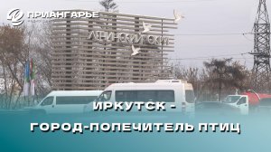 Иркутску присвоили звание «Город – попечитель птиц»