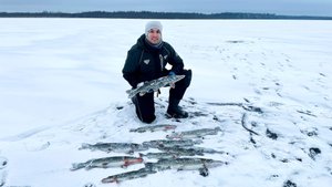 ЩУКИ сами выпрыгивают из лунок! Первый лед 2024-2025. Жерлицы.