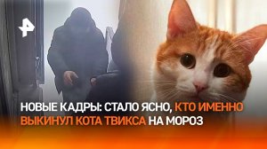 Гибель кота Твикса: стало известно, кто на самом деле выбросил пушистого из поезда. Эксклюзив РЕН ТВ