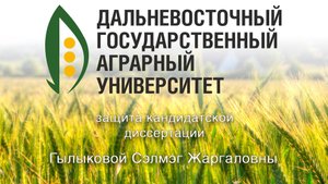 Защита кандидатской диссертации Гылыковой Сэлмэг Жаргаловны
