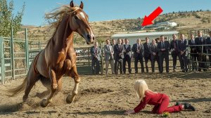 ВЫ НЕ ПОВЕРИТЕ, ЧТО ЭТА ДЕВУШКА СДЕЛАЛА СО СВОЕЙ ЛОШАДКОЙ, НО… это заставило меня плакать!