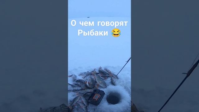 Разговор двух независимых рыбаков   #рыбалка #зимняярыбалка #прикол