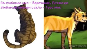 Коты - Воители. Интересные факты #11