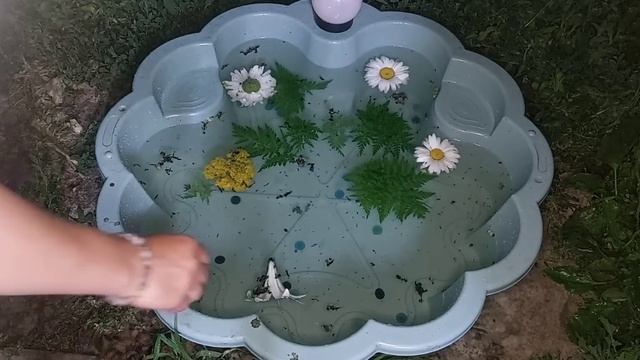 Чистка в потоке, расчищаем пути, снимаем пыловые накидки, порчу по следам, опои, окормы.