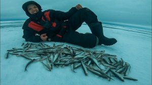 Ловля КОРЮШКИ зимой на Финском Заливе. Питерский деликатес пахнущий ОГУРЦОМ.