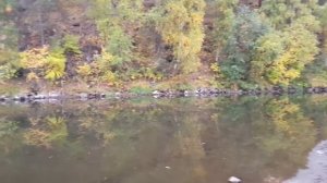 ар камень22 год