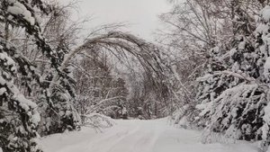 Зимняя сказка горы Голец, 15.12.2024.