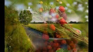 8.Goodbye, summer-Hello,fall! (2016)