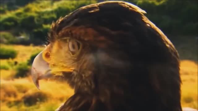 Mei Lan Ali lshg Epic Emotional Music--- Эпическая Эмоциональная Музыка---