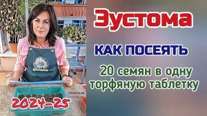 ЭУСТОМА. Как посеять 20 семян в одну торфяную таблетку.   (Сезон 2024-25)