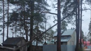 спуск зависшего дерева на узлах UIAA