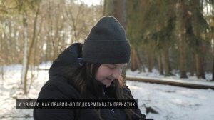 Поможем зимующим птицам