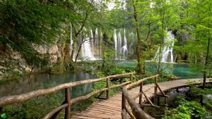 Расслабляющая фортепианная музыка 🌿Послушайте эту музыку, и вы почувствуете себя лучше