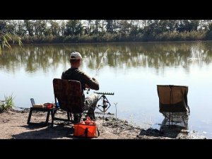 Осень, карась попёр, его тут много, ловля рыба на фидерную снасть